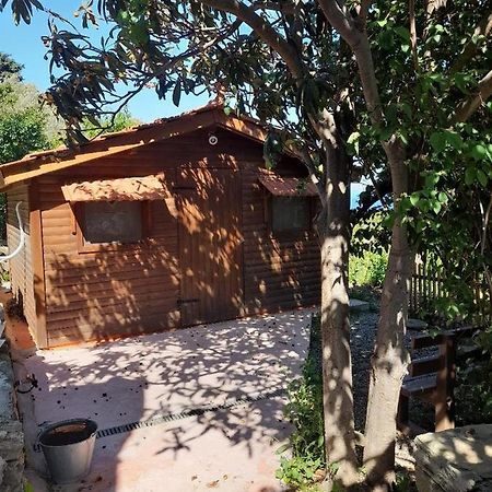 Casa Di Patouria , Stenies Andros Apikia  Εξωτερικό φωτογραφία