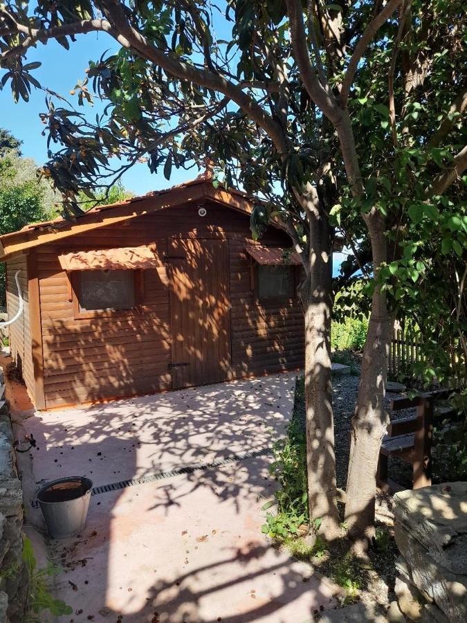 Casa Di Patouria , Stenies Andros Apikia  Εξωτερικό φωτογραφία