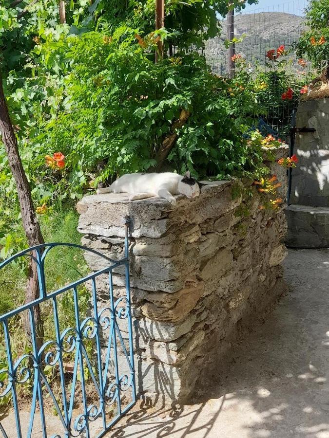 Casa Di Patouria , Stenies Andros Apikia  Εξωτερικό φωτογραφία