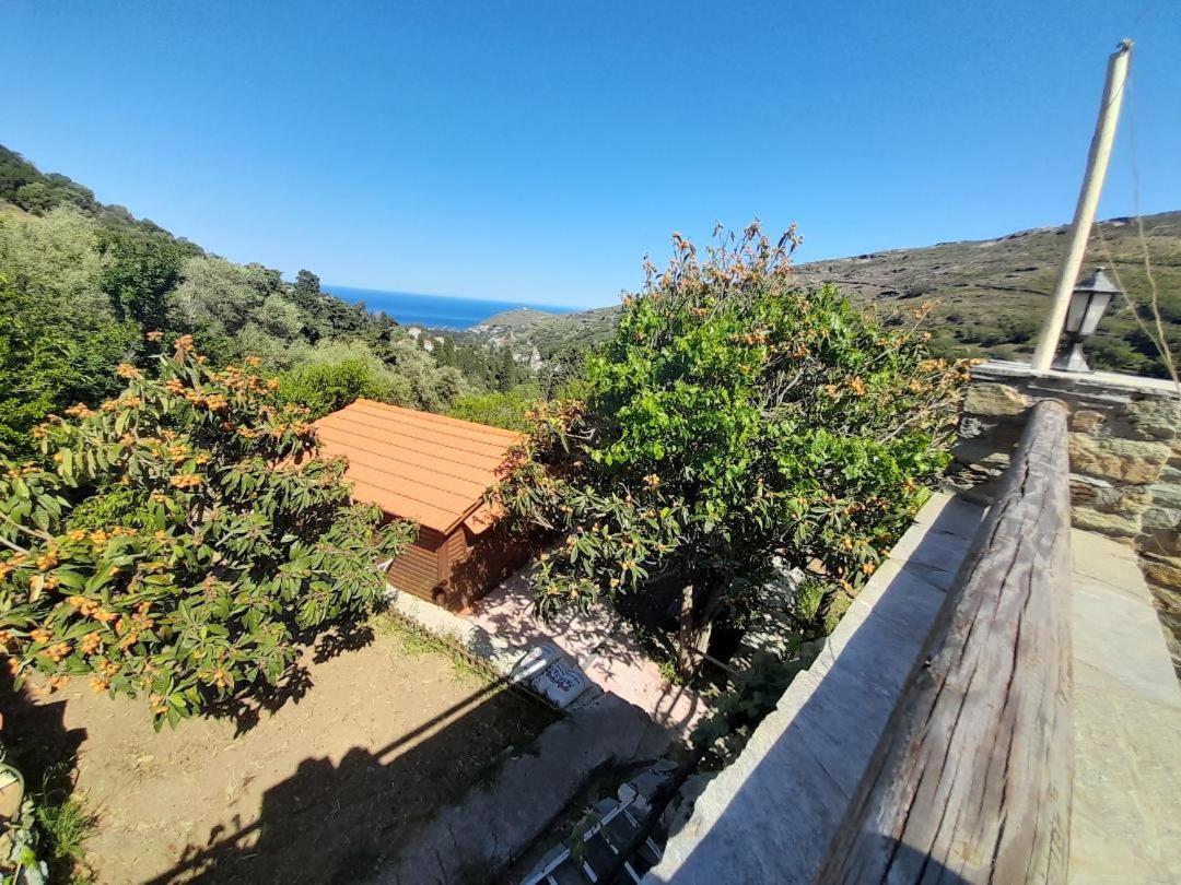 Casa Di Patouria , Stenies Andros Apikia  Εξωτερικό φωτογραφία