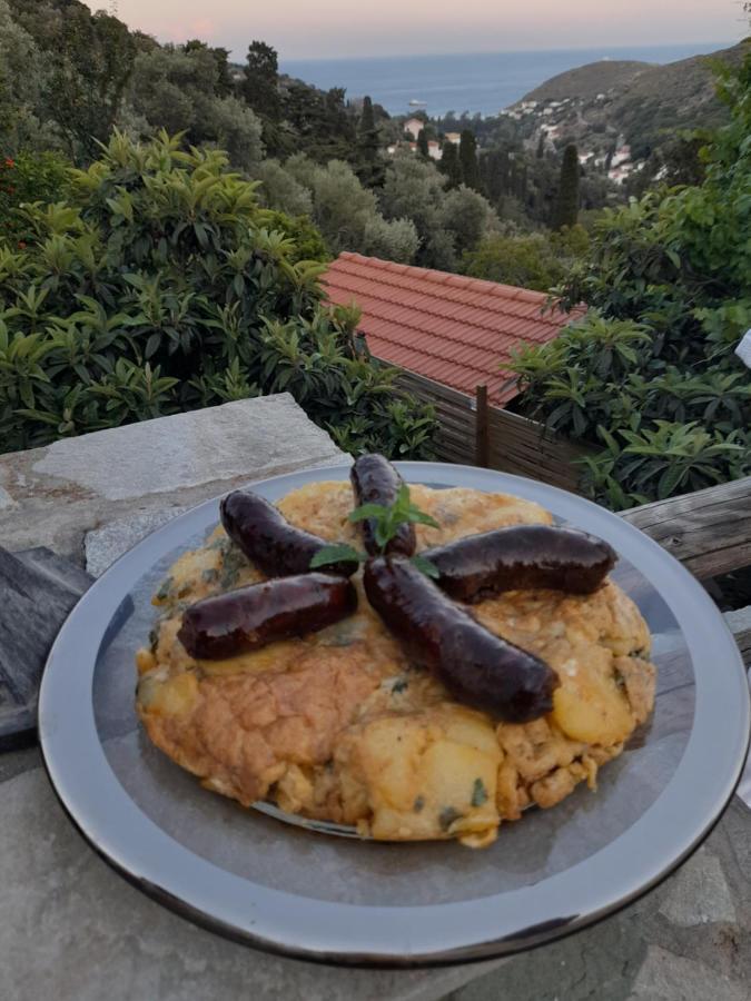 Casa Di Patouria , Stenies Andros Apikia  Εξωτερικό φωτογραφία